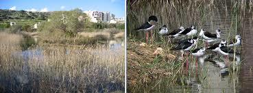 Is-Simar Nature Reserve