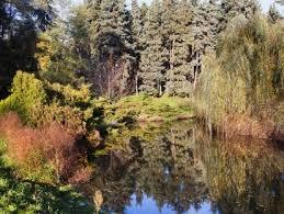 Parc forestier de la Poudrerie