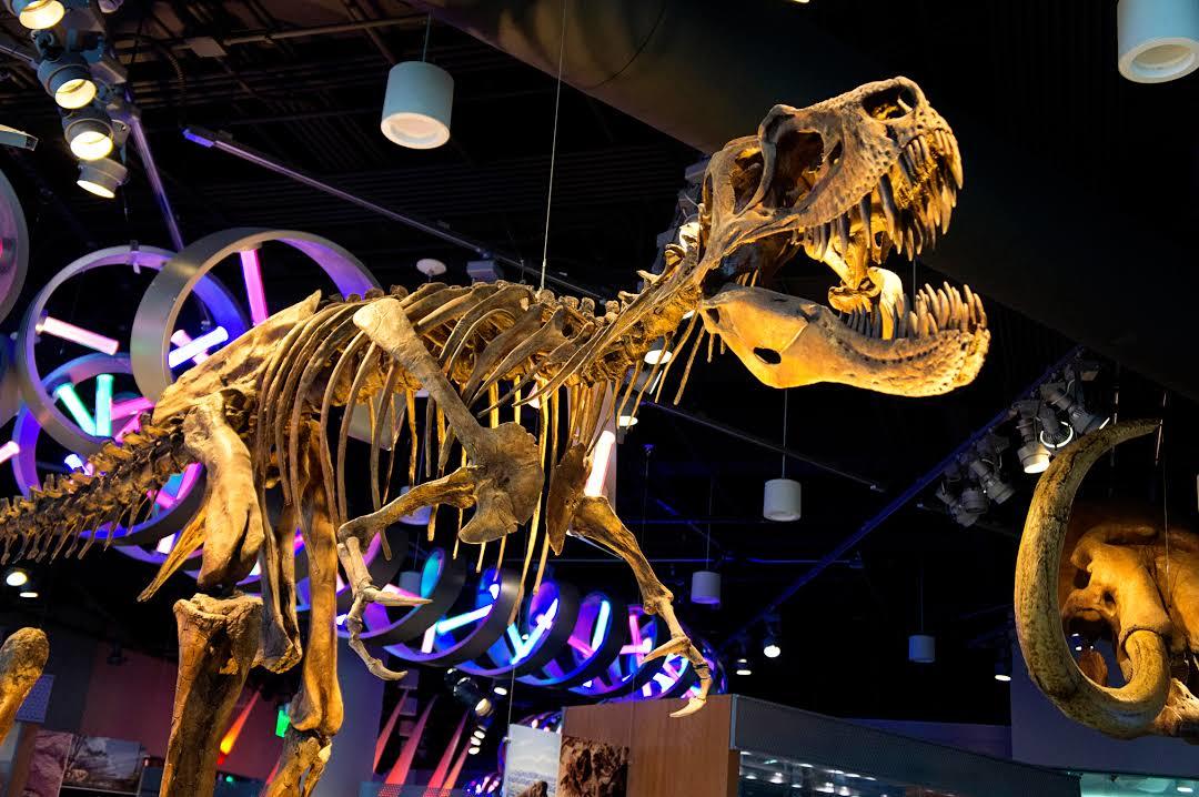 North Carolina Museum of Natural Sciences