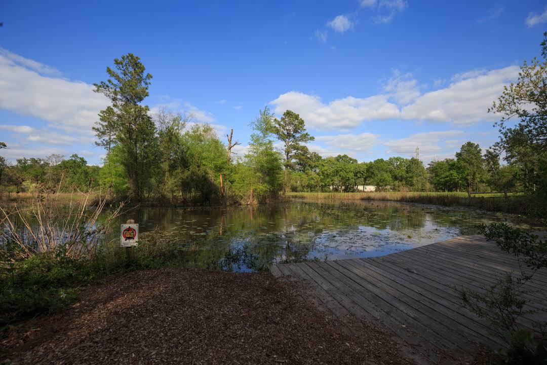Centro de la Naturaleza y Arboretum de Houston