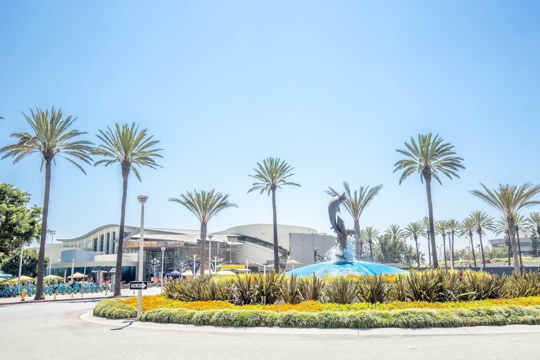 Acuario del Pacífico