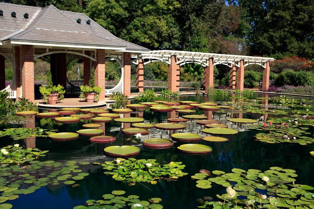 Jardín botánico de Huntsville