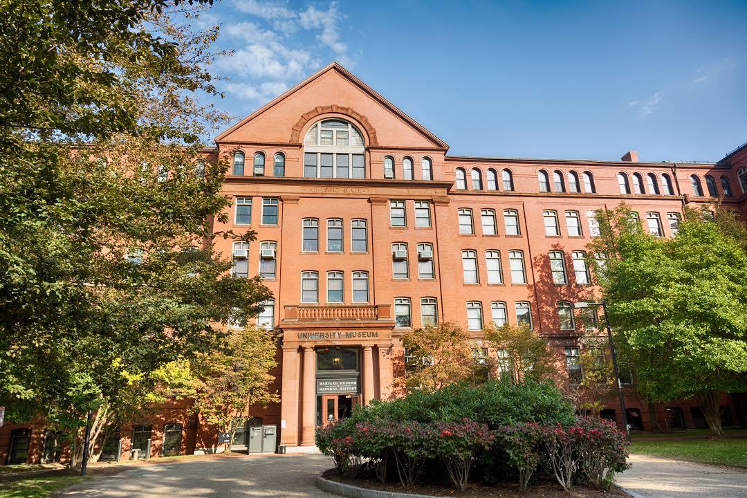 Museo de Historia Natural de Harvard