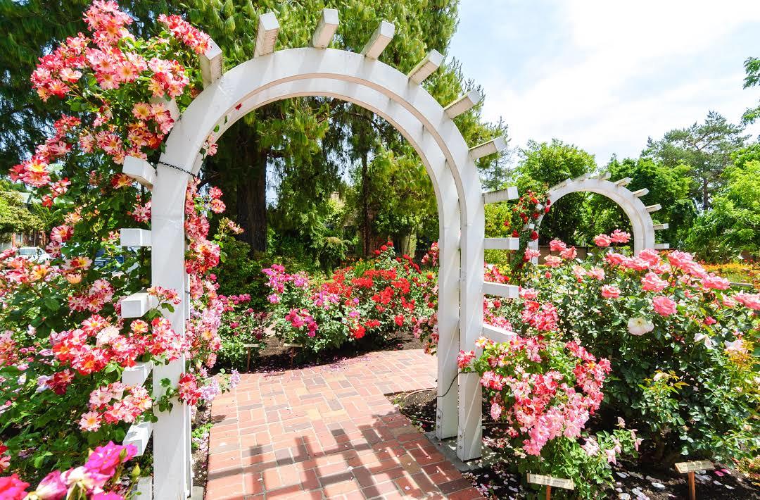 Casa y Jardín de Luther Burbank