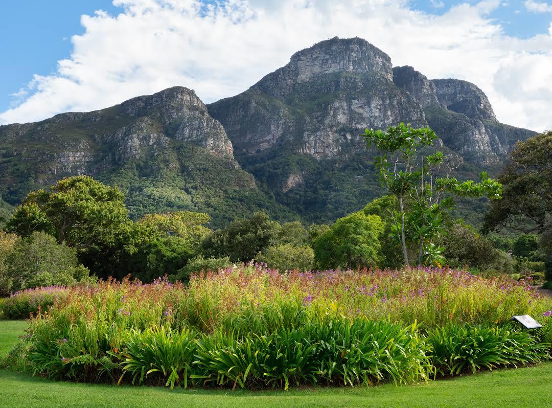 Jardín Botánico Nacional Kirstenbosch