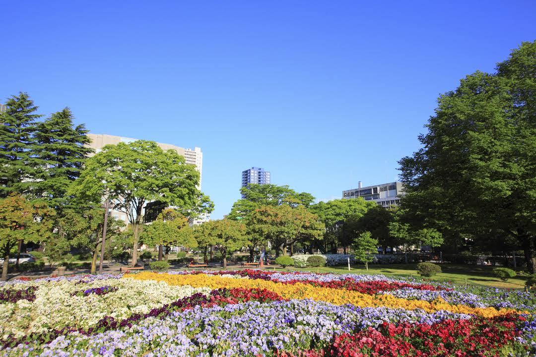 Parque Kotodai