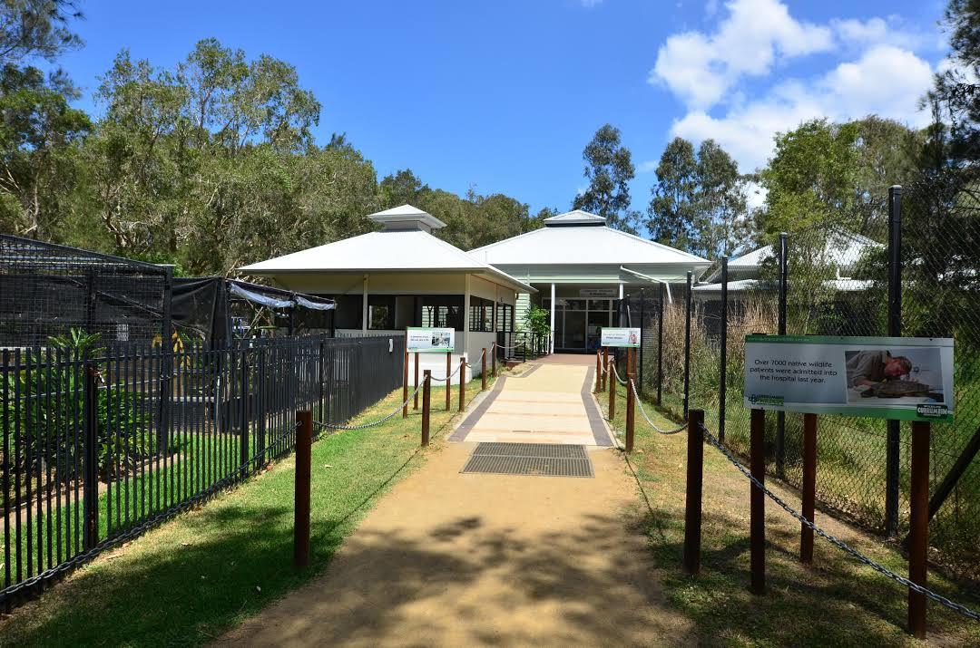 Parque Currumbin Wildlife Sanctuary