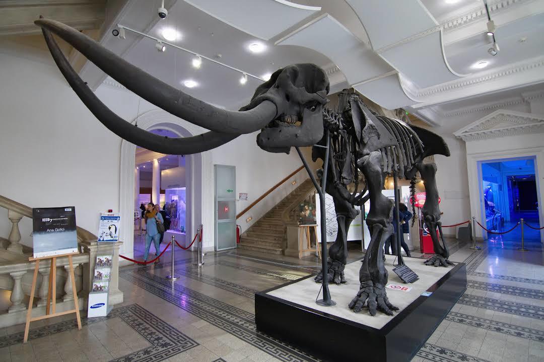 Museo Nacional de Historia Natural de Rumanía