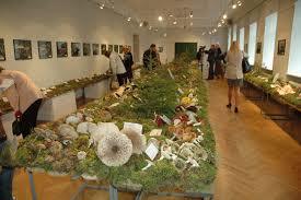 Museo de Historia Natural de Letonia