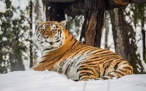 Zoológico de Liubliana