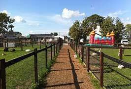 Clonfert Pet Farm