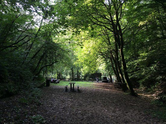 Orto Botanico delle Conifere