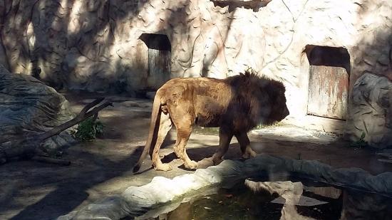 Parque Zoologico Prudencio Navarro