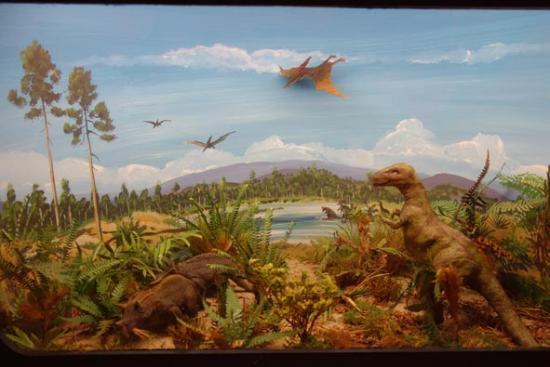 Museo Geológico Hofland