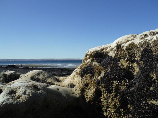 el Parque Histórico Punta Cuevas
