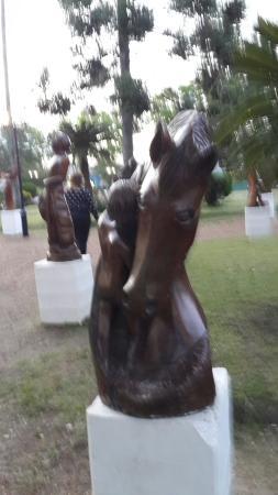 Complejo Granja La Matera