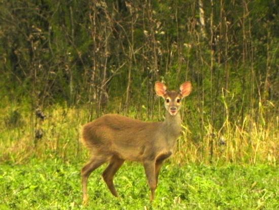 Área Natural Protegida Don Sebastián