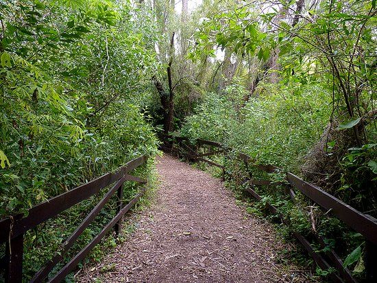 Reserva Ecológica Vicente López