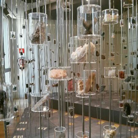 Museo de Historia Natural de la Universidad de Santiago