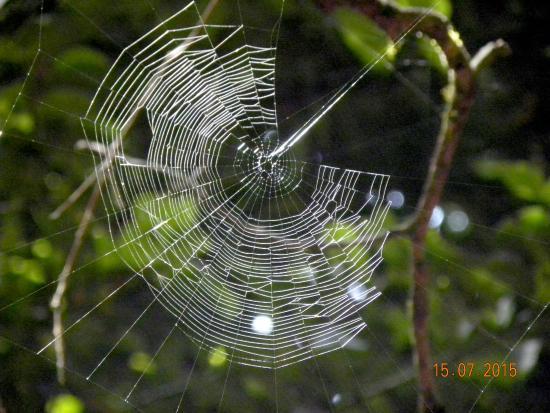 Sendero de los Sentidos