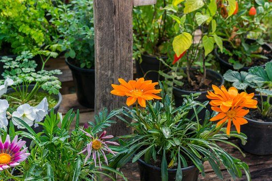 Sítio São José Turismo Rural