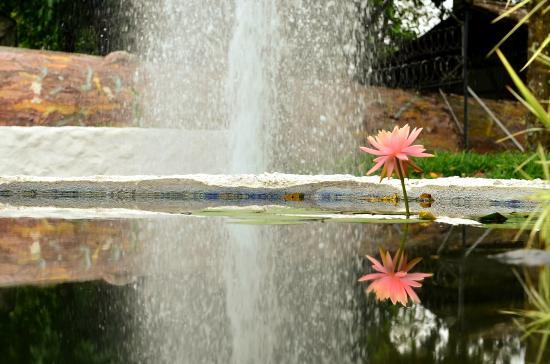 Jardín Botánico Del Quindío