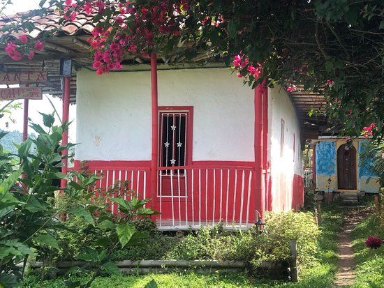 Finca café Tio Conejo