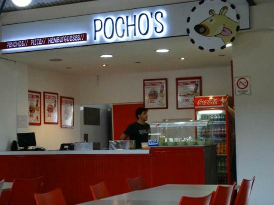 Pochos