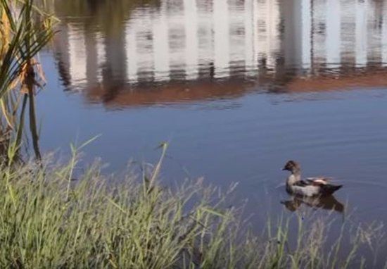 Parque Vila Nova Artigas