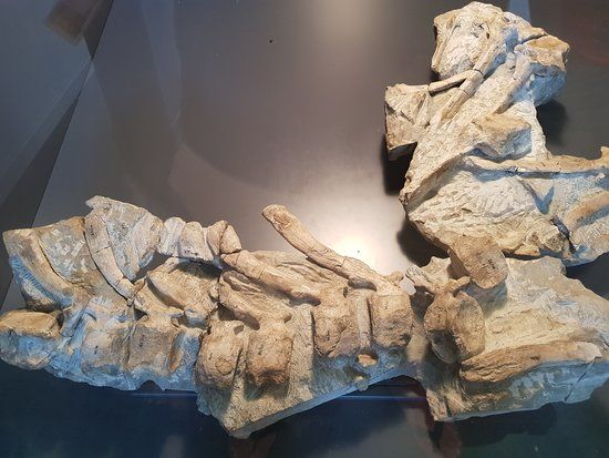 Dinosaurios de Arén