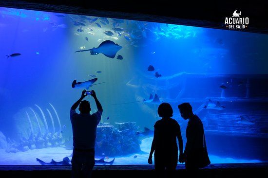 Acuario del Bajío