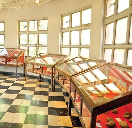 Fundación Museo Regional Patagónico Profesor Antonio Garcés