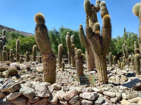 Jardín Botánico de Altura