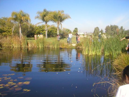 Jardín botánico de la Universidad de Talca