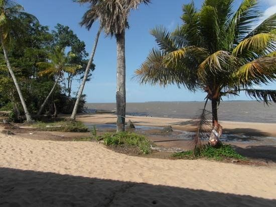 Galibi Nature Reserve