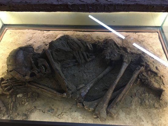 The Prehistoric Man Museum