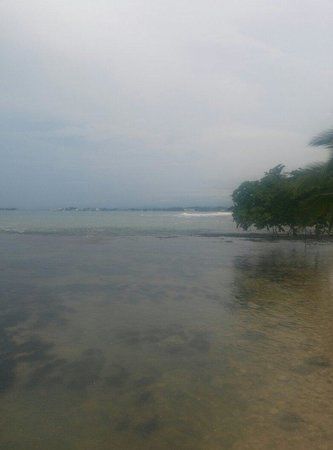 el Smithsonian Tropical Research Institute