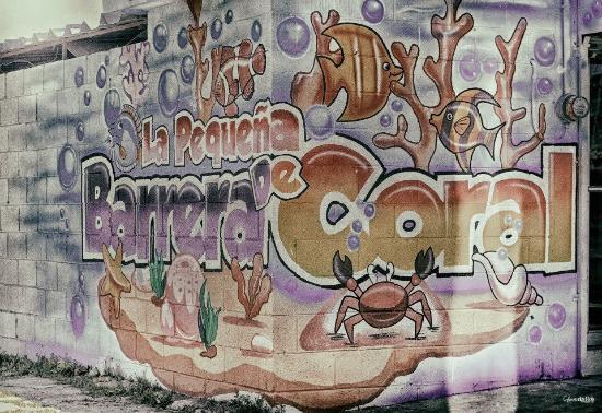 La Pequeña Barrera de Coral