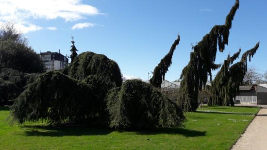 Jardín de plantas de Orleans