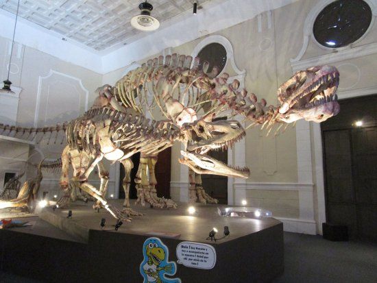 el Museo de Ciencias Naturales