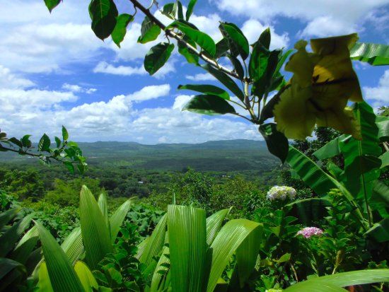 UCA MiraFlor Naturalmente