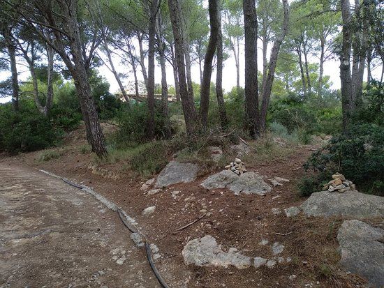 Torre vigía de Cala en Basset