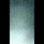 Restoran Daun Pisang Medan Kidd