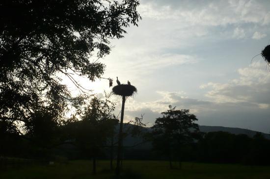 Le Musée du Vigneron