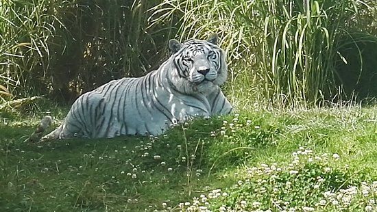 Parque Zoológico Guátika
