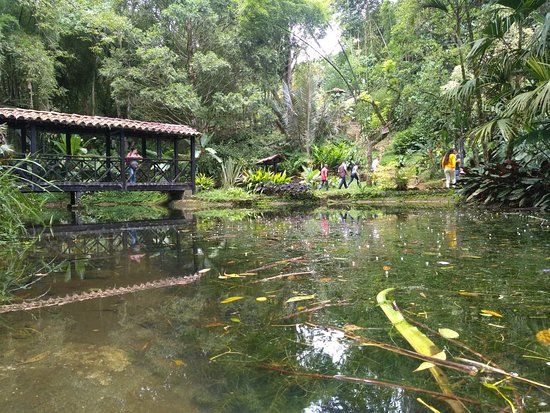 el Jardín Botánico Los Balsos