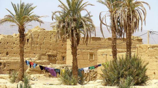 Rock Carvings Nkob Tazzarine