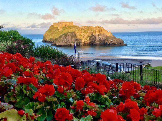 Tenby Island
