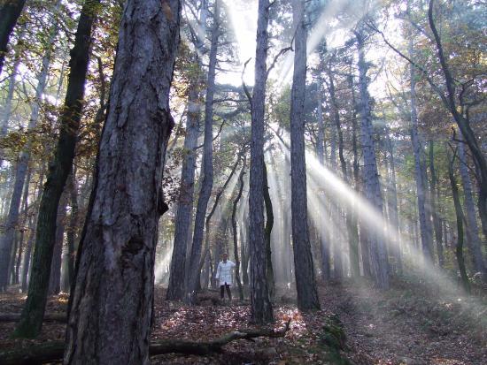 Lover Kalandpark Sopron