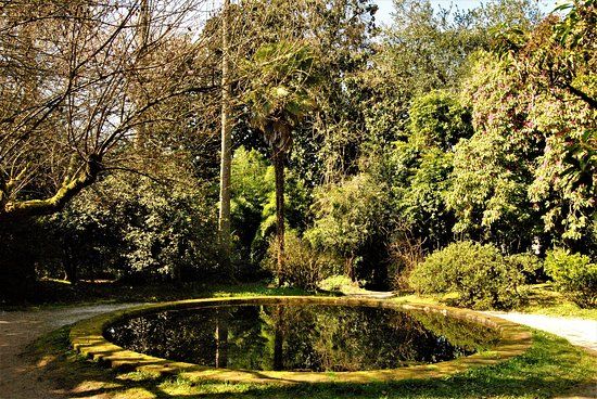 el Pazo de Santa Cruz de Rivadulla
